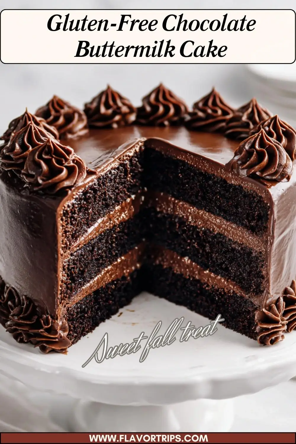 Moist Gluten-Free Chocolate Buttermilk Cake – Easy Brunch Dessert