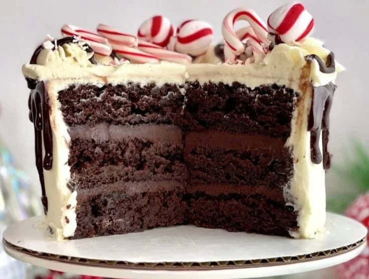 Moist peppermint fudge cake topped with chocolate and mint decoration